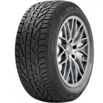 205/55 R16 Snow 91T