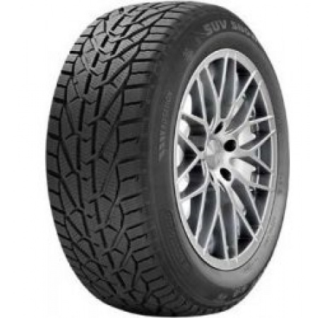 205/55 R16 Snow 91T