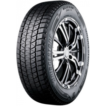 295/35 R21 DM-V3 107T XL FR